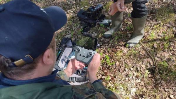На Рівненщині вперше підтвердили гніздування рідкісного птаха (ФОТО) - INFBusiness