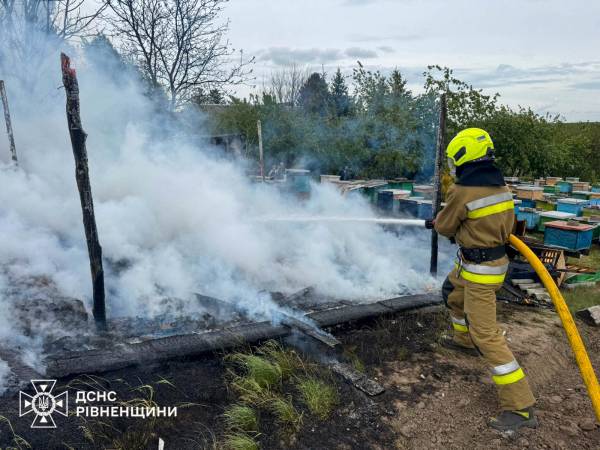 У Рівненському районі вогонь знищив вулики - INFBusiness