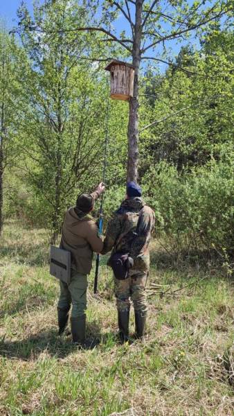 На Рівненщині вперше підтвердили гніздування рідкісного птаха (ФОТО) - INFBusiness