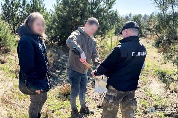 Трьох жителів Рівненщини судитимуть за екологічні злочини: шкода довкіллю — майже 2 мільйони гривень - INFBusiness