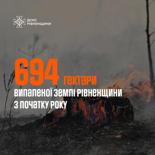 У Рівненсьькій області від початку року виникло 843 пожежі на відкритих територіях - INFBusiness