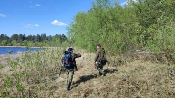 На Рівненщині вперше підтвердили гніздування рідкісного птаха (ФОТО) - INFBusiness