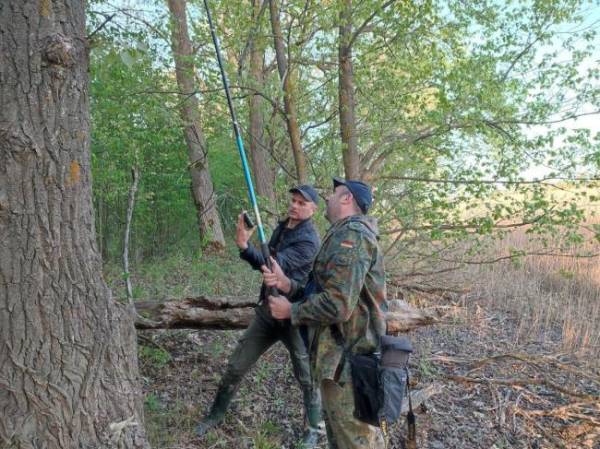 На Рівненщині вперше підтвердили гніздування рідкісного птаха (ФОТО) - INFBusiness