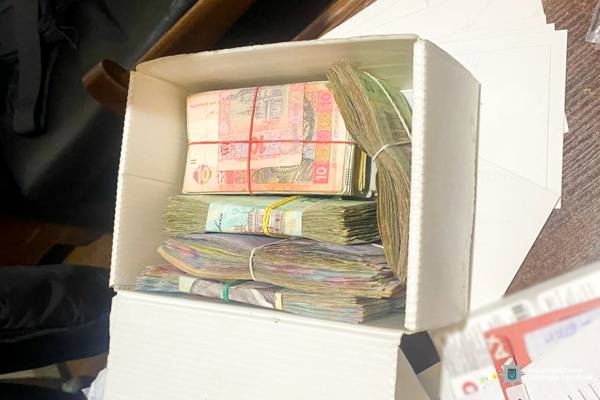 Трьох жителів Рівненщини судитимуть за екологічні злочини: шкода довкіллю — майже 2 мільйони гривень - INFBusiness