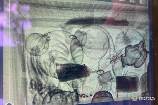 У Рівному через підозрілу коробку на дитячому майданчику викликали поліцію і кінологів - INFBusiness