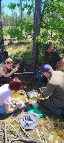 На Рівненщині кільцюють птахів, які занесені до Червоної книги України (ФОТО) - INFBusiness