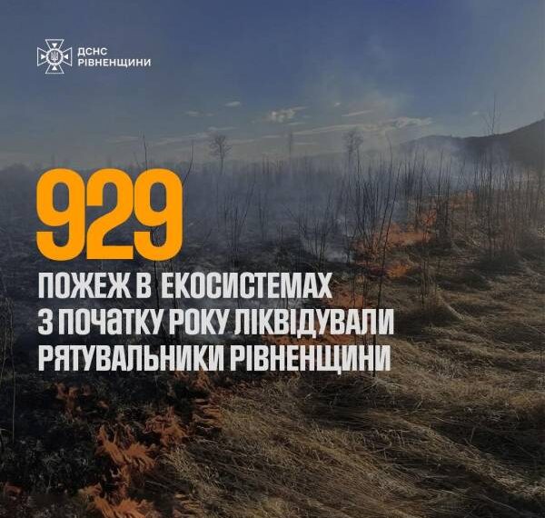 Екопожежі на Рівненщині не вщухають: 929 загорянь за пів року