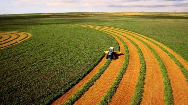 Чотири роки без мораторію: як працює ринок землі на Рівненщині - INFBusiness