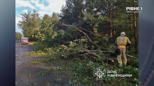 Буревій на Рівненщині: десятки повалених дерев, знеструмлені села та пошкоджені дахи (ВІДЕО) - INFBusiness