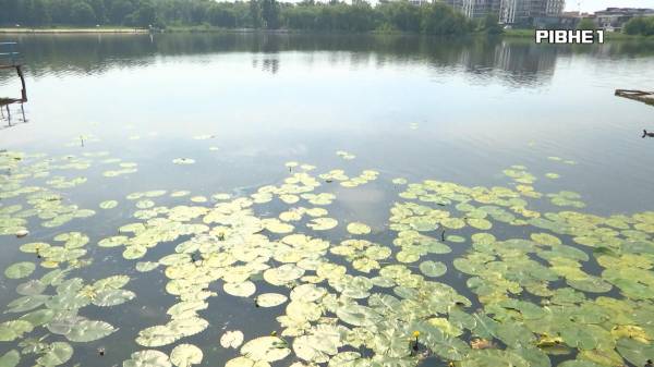 17 смертей на воді: рятувальники Рівненщини закликають дотримуватися правил безпечного купання (ВІДЕО) - INFBusiness