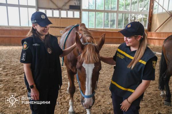 На Рівненщині пораненим силовикам допомагають іпотерапією - INFBusiness