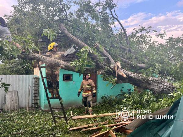 Негода на Рівненщині: рятувальники гасили пожежі від блискавок і розчищали дороги - INFBusiness