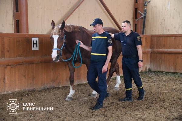 На Рівненщині пораненим силовикам допомагають іпотерапією - INFBusiness