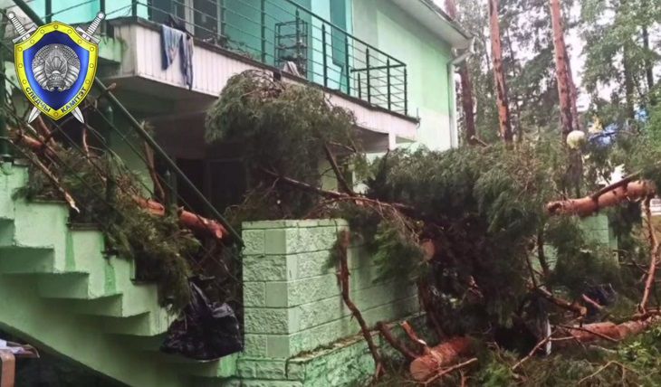 Внаслідок урагану в Речицькому районі загинула дитина, ще шестеро дітей постраждали дерево