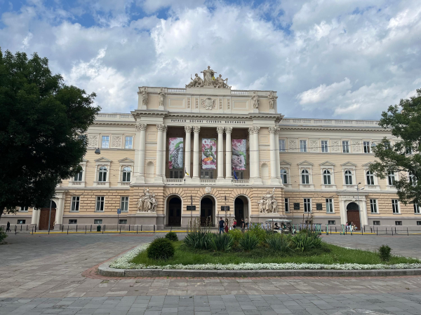 Основні тези Українська вища школа: відмінності від європейської, плюси та мінуси - INFBusiness