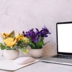 Від старту чи спочатку: правопис.