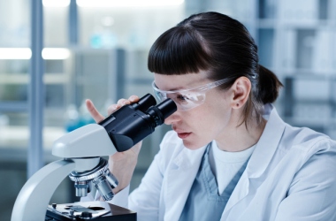 Проєктна докторантура: новий формат підготовки PhD