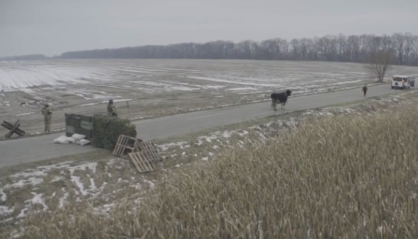 Стрічка “Війна очима тварин” за участі Шона Пенна з’явиться в кінотеатрах Північної Америки.