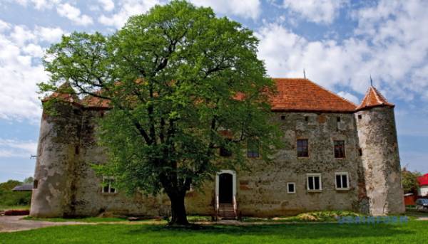 Шість твердинь Закарпаття занесли до державного реєстру нерухомої спадщини.