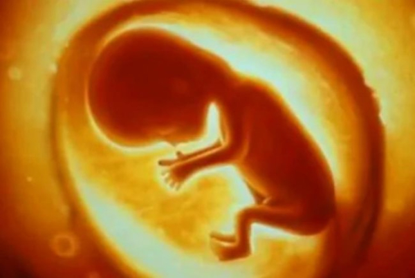 Чи можна вибрати стать дитини?