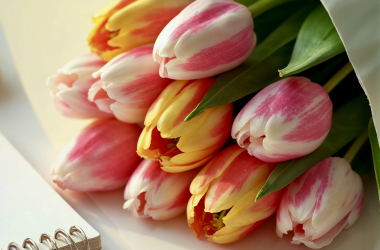 Профспілка закликає: 8 Березня – без звичних квітів.