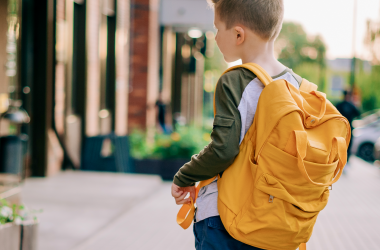 Міносвіти схвалило Зразкову навчальну програму для початкової школи (1-4 класи)