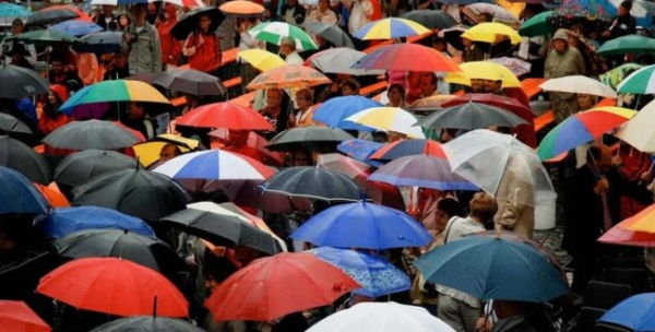 Парасолі: вибираємо найкраще