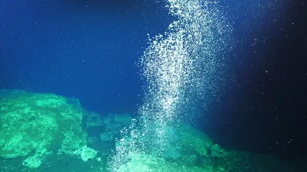 Вчені випадково спричинили витік метану на дні Південнокитайського моря, який майже миттєво нейтралізувала морська фауна.