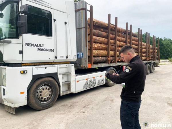 Перевозив майже 40 кубометрів деревини: рокитнівські поліцейські продовжують документувати злочини у сфері довкілля - INFBusiness